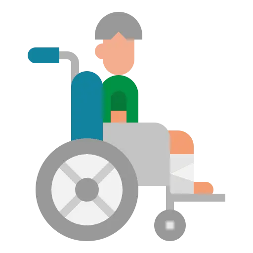 Disability Icon